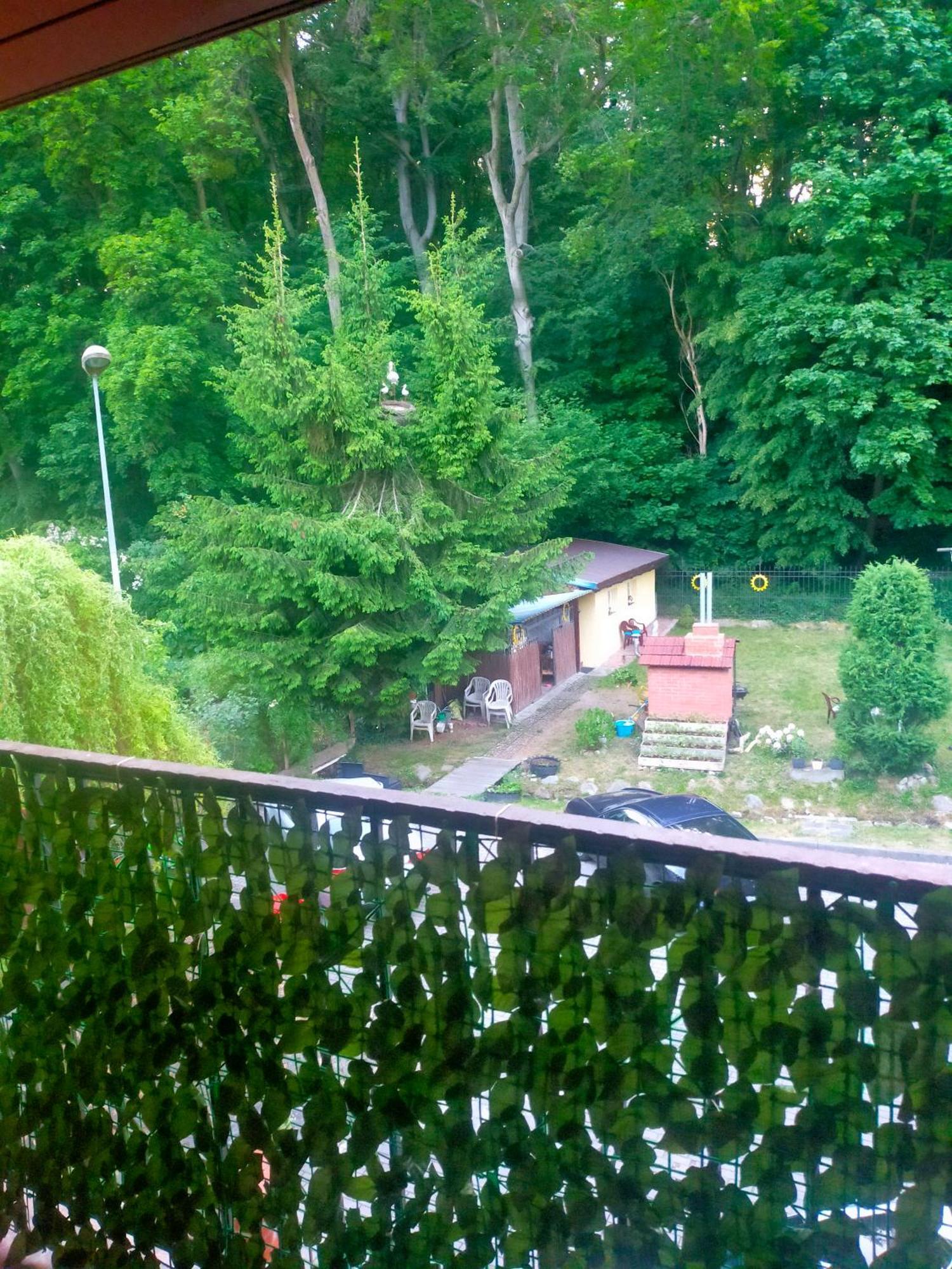 Hostel Madeira 그단스크 외부 사진